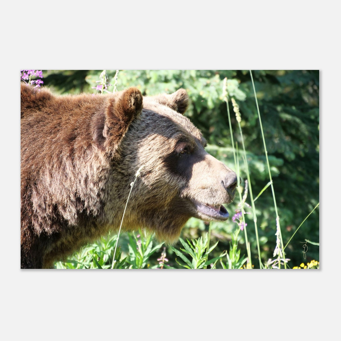 1a615299-cefc-489a-a8df-80b2852de4c7