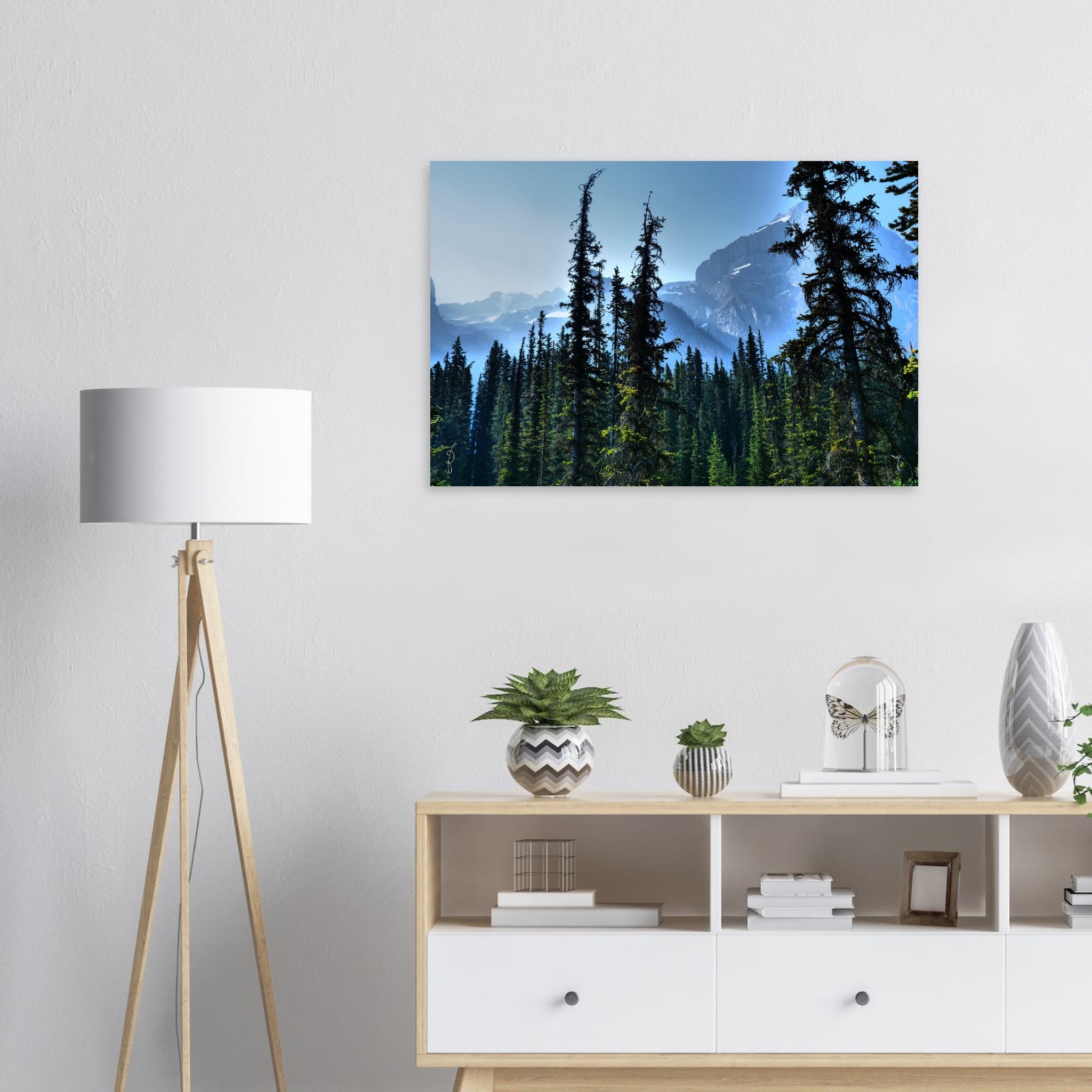 Magic Forest - Wall Art Aluminum Print – DannyJ - The World in Color