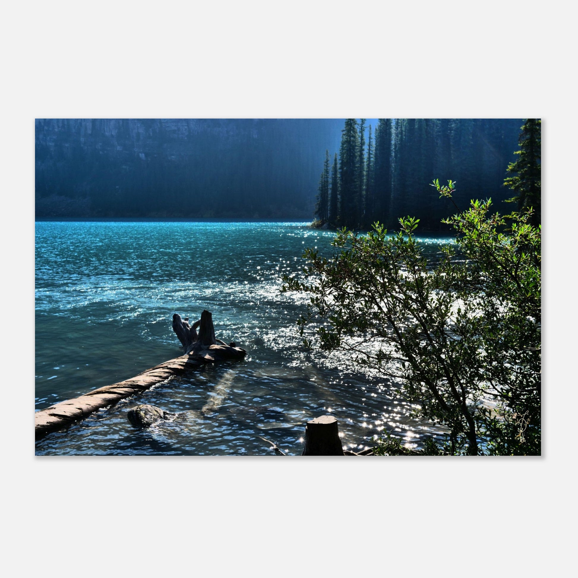 3c7830f1-3646-4bca-b75d-20b1cfb32555