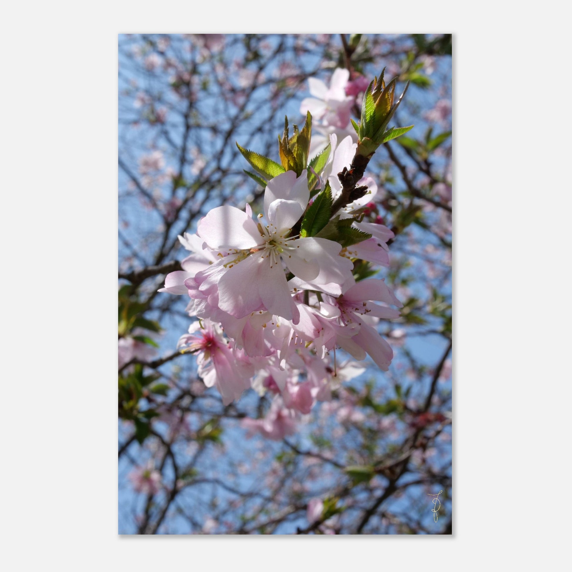 f33aa6af-53b4-4f74-8a28-71597b9d3c40