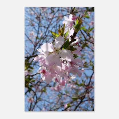 f33aa6af-53b4-4f74-8a28-71597b9d3c40